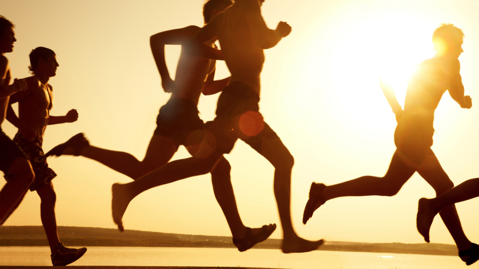 Why Exercise?