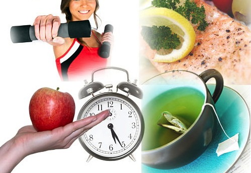 Increasing Metabolism & Metabolism Calculator