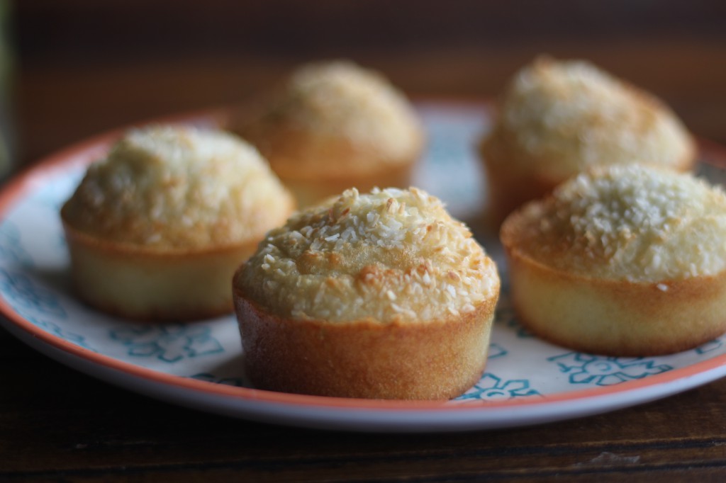 Coconut fairy cakes