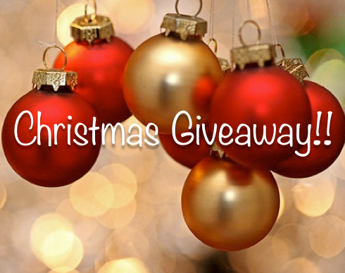 2013 Christmas Giveaway!
