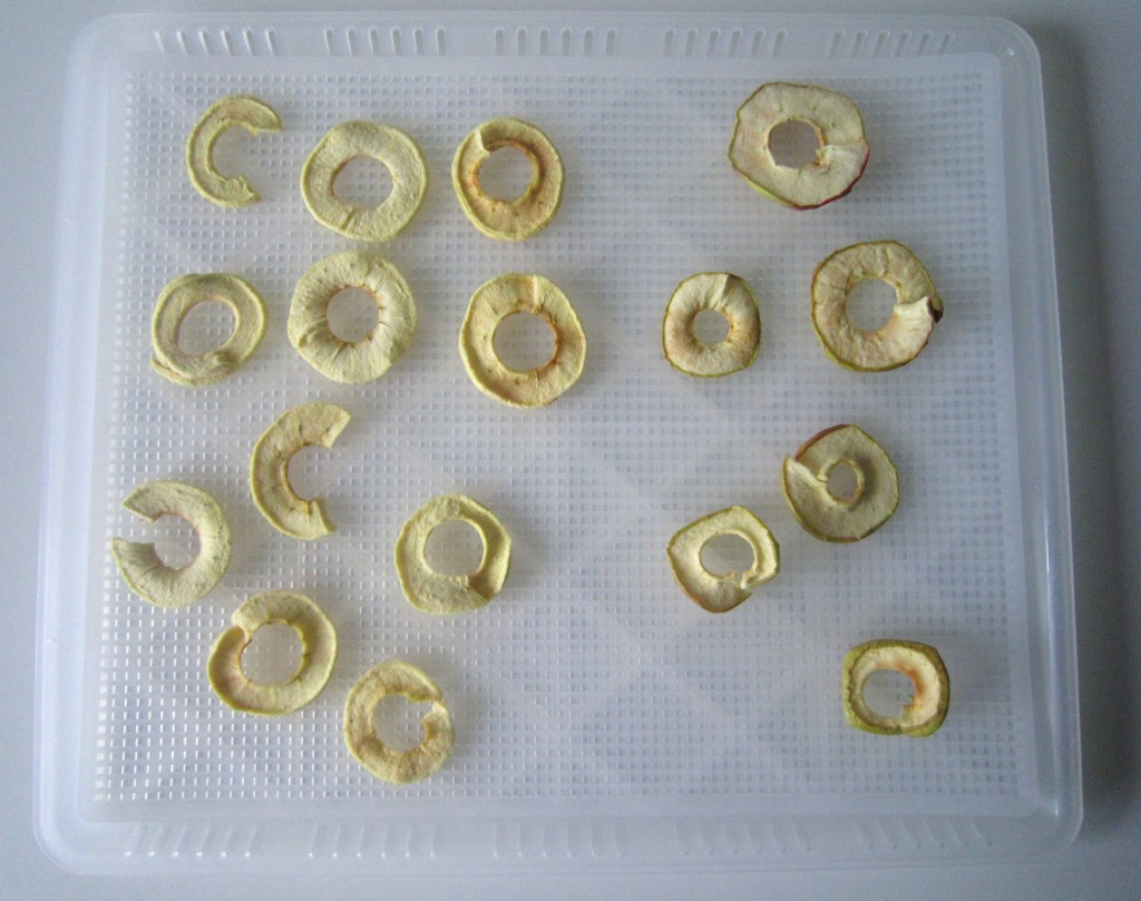 dehydrated apple rings