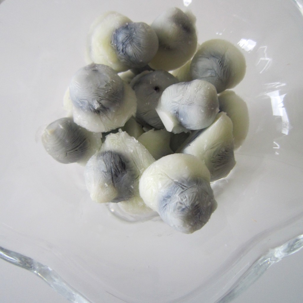 Yoghurt covered blueberries