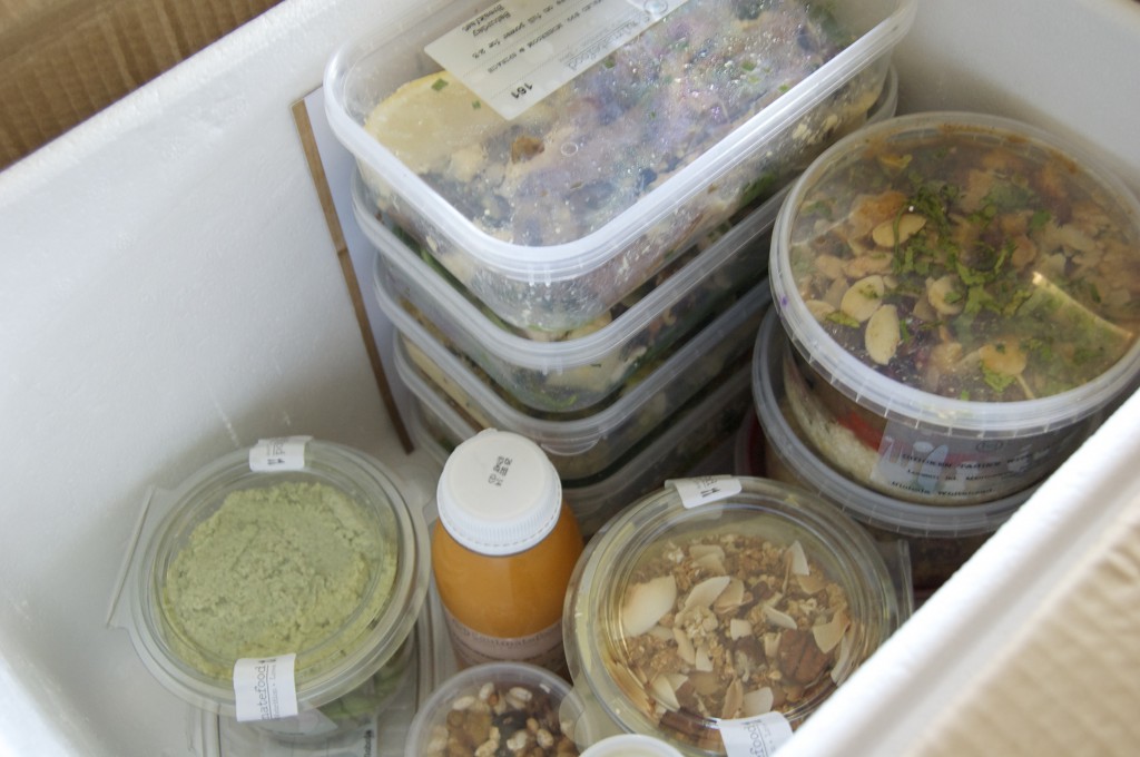 Soulmatefood review