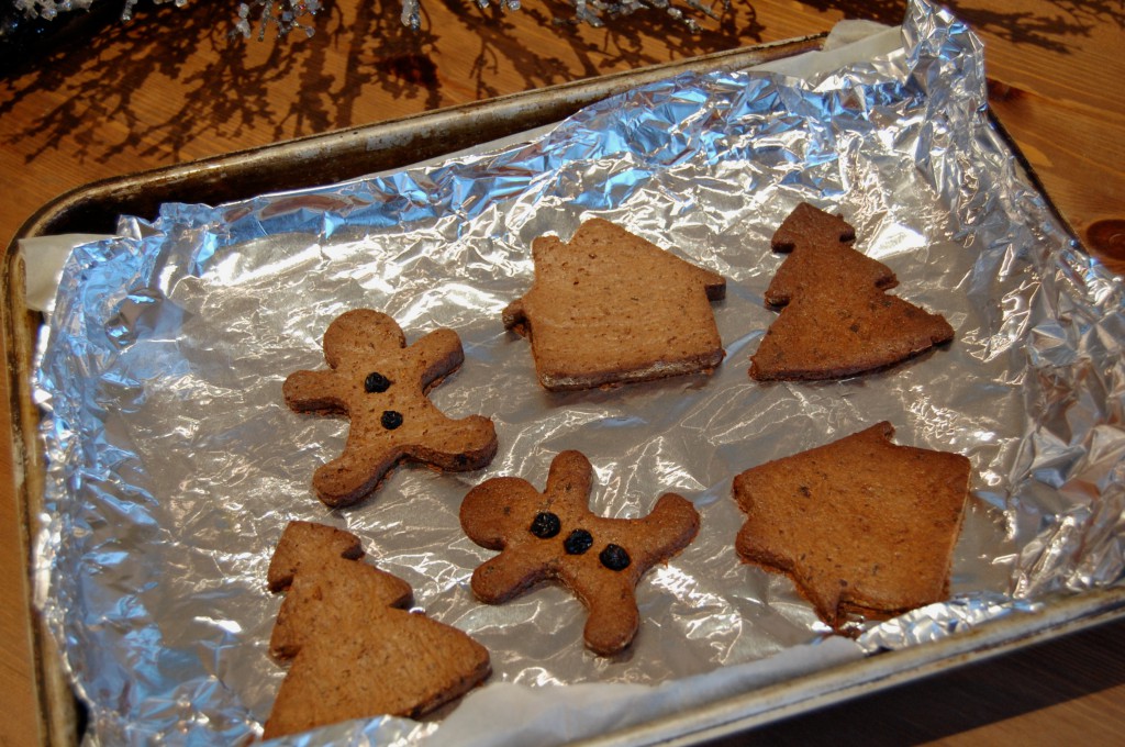 Healthy Gingerbread Cookies