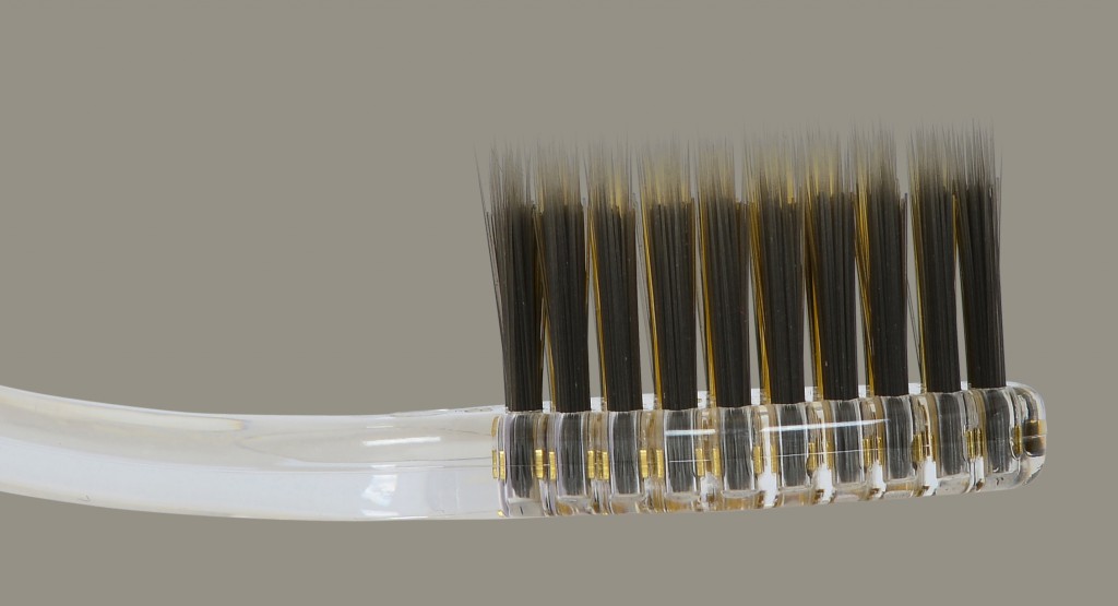 Bristles close-up