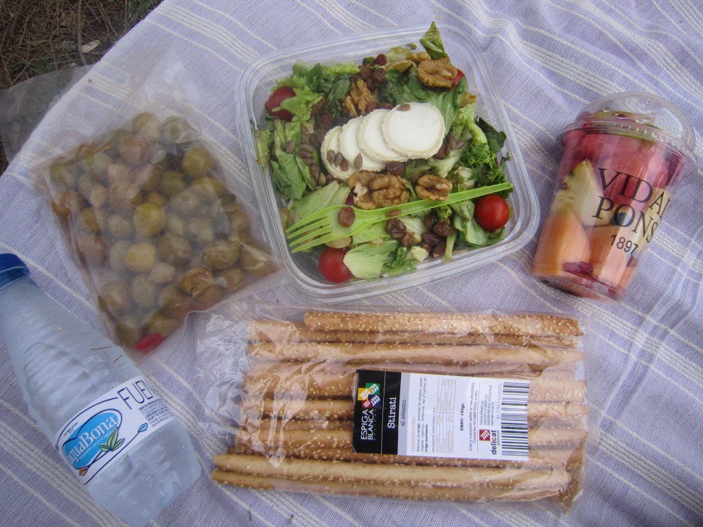 Picnic in Barcelona