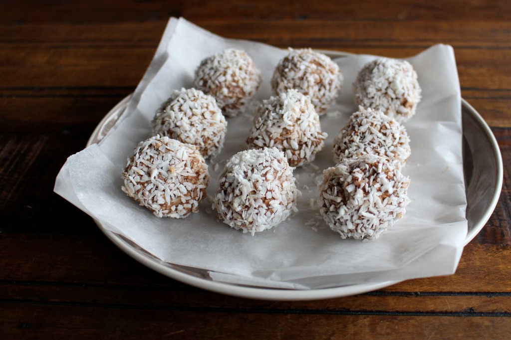 High protein balls